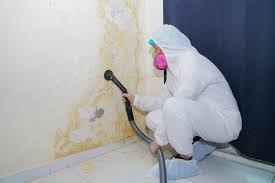 Why You Should Choose Our Mold Remediation Services in Riverdale Park, CA